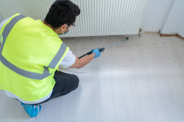 Best Fumigation Services  in Iron Mountain, MI